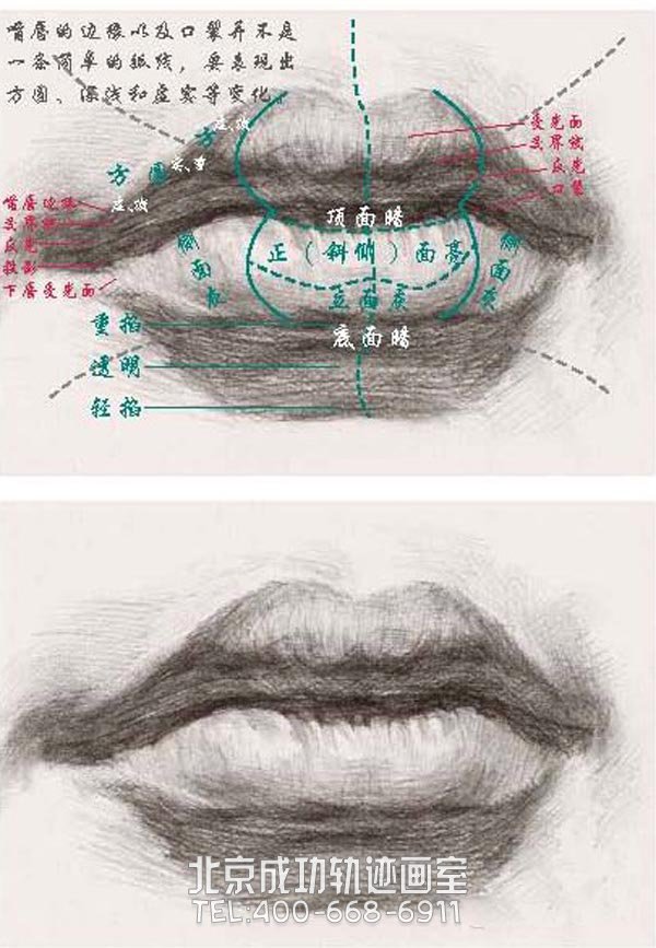 素描嘴唇的畫法圖解7