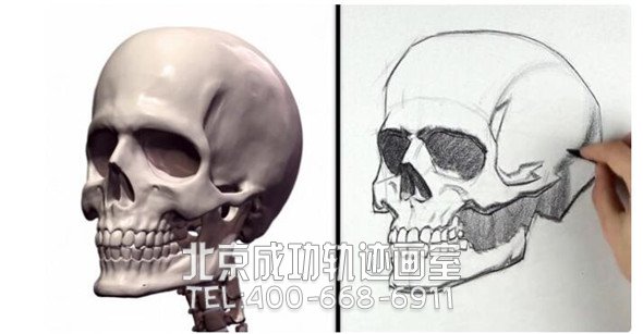 素描教程：人物頭部骨骼結(jié)構(gòu)的素描畫法步驟